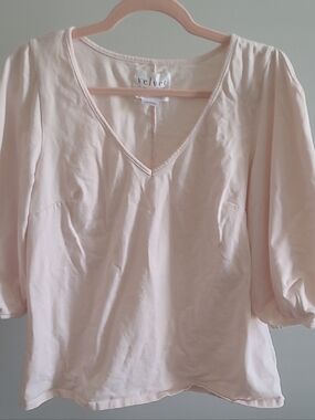 Velvet Pale Pink V-Neck Puff Sleeve Blouse